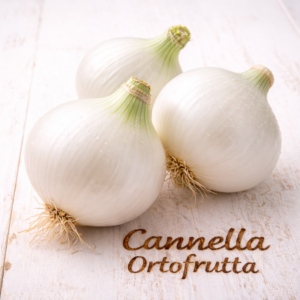 CIPOLLA BIANCA